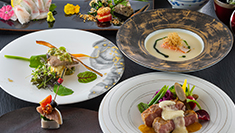 【基本】特製鯛めし＆選べるお肉料理 愛媛の2大食材『真鯛』×『甘とろ豚』or『松山鶏』